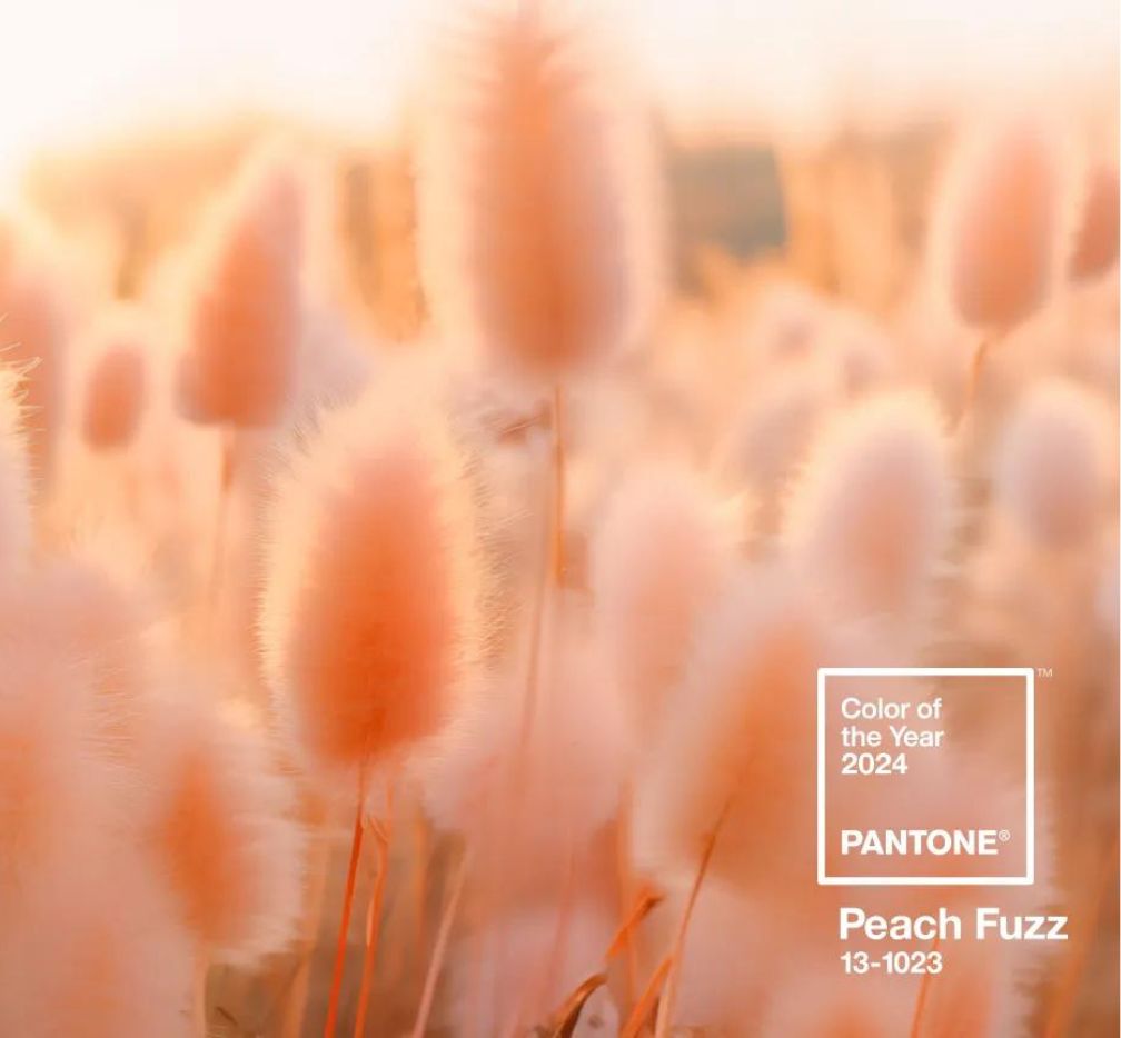 PANTONE 13-1023 Peach Fuzz – kolor roku