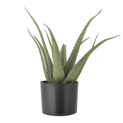 Aloe Plant, Green, Artificial Flowers