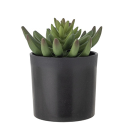 Echeveria Plant, Green, Artificial Flowers