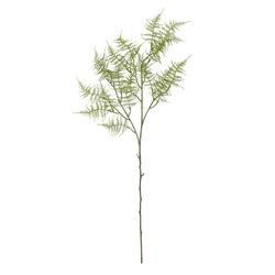 Fern Stem, Green, Artificial Flowers