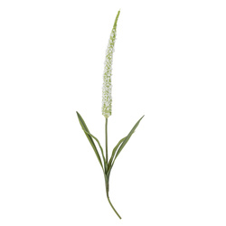 Foxtail Stem, White, Artificial Flowers