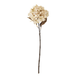 Hydrangea Stem, Nature, Artificial Flowers