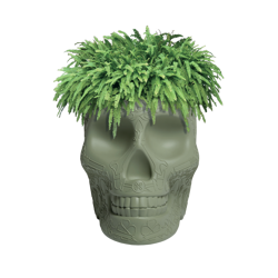 QEEBOO Mexico Green Flowerpot and Cooler