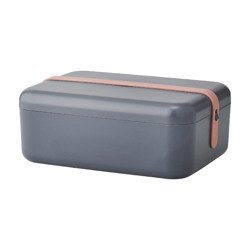 RIG-TIG KEEP-IT COOL Lunch Box Gray Blue