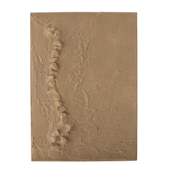 Sisken Wall Decor, Brown, MDF