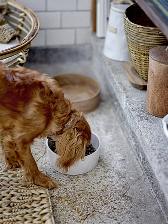 Buddy Bowl, White, Stoneware