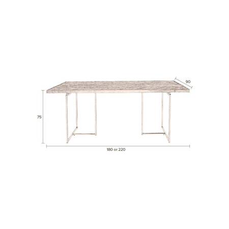 DUTCHBONE CLASS Table 220x90cm