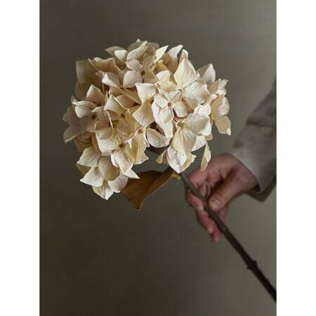 Hydrangea Stem, Nature, Artificial Flowers