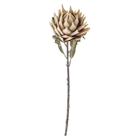 Protea Stem, Nature, Artificial Flowers