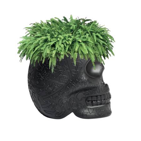 QEEBOO Mexico Flowerpot and Cooler Black