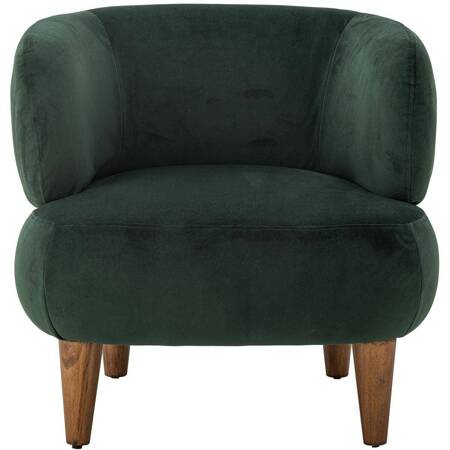 Ruperta Lounge Chair, Green, Polyester