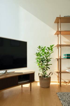 TV cabinet and bench UMAGE AUDACIOUS oak eco-leather