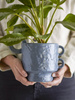 BLOOMINGVILLE ALFINE blue flowerpot