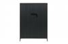 Bruut 2-door cabinet, pine, black