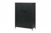 Bruut 2-door cabinet, pine, black