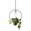 Caralina Pendant Lamp, Gold, Metal