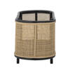 Ebbie Plant Box, Nature, Rattan