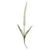 Foxtail Stem, White, Artificial Flowers