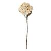 Hydrangea Stem, Nature, Artificial Flowers