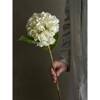 Hydrangea Stem, White, Artificial Flowers