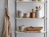 Lea Shelf, Nature, Paulownia