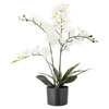 Orchid Plant, Green, Artificial Flowers