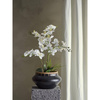 Orchid Plant, Green, Artificial Flowers