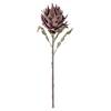 Protea Stem, Purple, Artificial Flowers