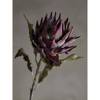 Protea Stem, Purple, Artificial Flowers