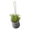 RIG-TIG GROW-IT flowerpot gray