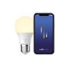 Set of 2 SMART Nordlux milky Bulbs, E27 (App-Controlled)