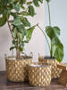 Set of 3 BLOOMINGVILLE JOLEEN Natural Baskets