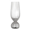 Taurin Champagne Glass, Clear, Glass