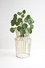 URBAN NATURE CULTURE Solstice S Gold Planter Stand